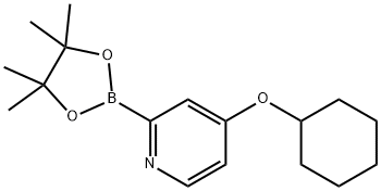 4-(cyclohexyloxy)-2-(4,4,5,5-tetramethyl-1,3,2-dioxaborolan-2-yl)pyridine Struktur