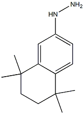 (5,5,8,8-tetramethyl-5,6,7,8-tetrahydronaphthalen-2-yl)hydrazine Struktur