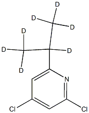 2,4-Dichloro-6-(iso-propyl-d7)-pyridine Struktur