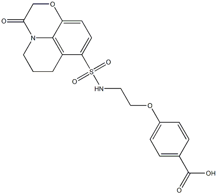 4-(2-(3-oxo-3,5,6,7-tetrahydro-2H-[1,4]oxazino[2,3,4-ij]quinoline-8-sulfonamido)ethoxy)benzoic acid Struktur