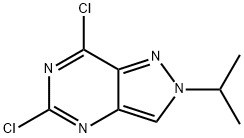 5,7-dichloro-2-(propan-2-yl)-2H-pyrazolo[4,3-d]pyrimidine Struktur