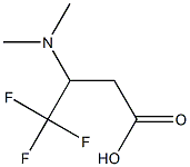 3-(Dimethylamino)-4,4,4-trifluorobutanoic acid Struktur