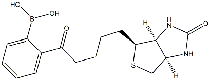 Biotinyl-phenylboronic acid Struktur