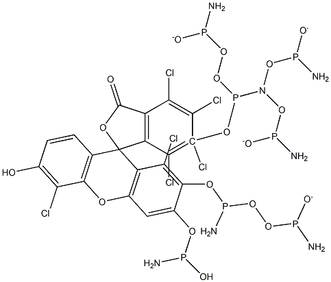 6-HEX phosphoramidite [5'-Hexachlorofluorescein phosphoramidite] Struktur