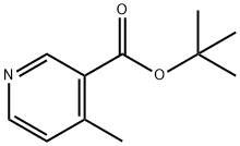 tert-Butyl 4-methylnicotinate Struktur