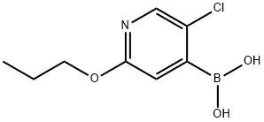 (5-Chloro-2-propoxy-4-pyridinyl)boronic acid