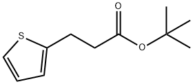 tert-butyl 3-(thiophen-2-yl)propanoate Struktur