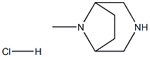 8-Methyl-3,8-diazabicyclo[3.2.1]octane hydrochloride Struktur