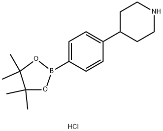 4-(4-(4,4,5,5-tetramethyl-1,3,2-dioxaborolan-2-yl)phenyl)piperidine hydrochloride Struktur