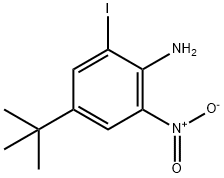 4-tert-Butyl-2-iodo-6-nitro-phenylamine Struktur