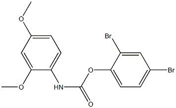 2,4-DIBROMOPHENYL N-(2,4-DIMETHOXYPHENYL)CARBAMATE Struktur