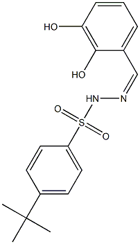 (Z)-4-(tert-butyl)-N'-(2,3-dihydroxybenzylidene)benzenesulfonohydrazide Struktur