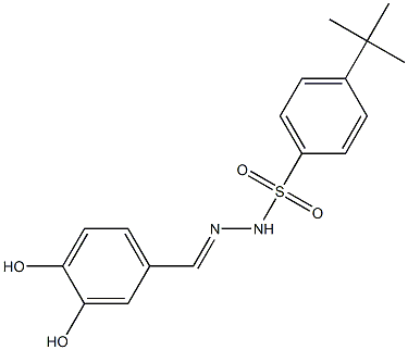 (E)-4-(tert-butyl)-N'-(3,4-dihydroxybenzylidene)benzenesulfonohydrazide Struktur