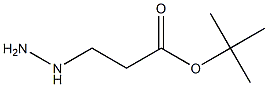 tert-butyl 3-hydrazinylpropanoate Struktur