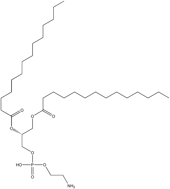 1,2-Dimyristoyl-sn-glycero-3-phosphoethanolamine labeled with Atto 488 Struktur