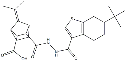 3-(2-(6-(tert-butyl)-4,5,6,7-tetrahydrobenzo[b]thiophene-3-carbonyl)hydrazinecarbonyl)-7-(propan-2-ylidene)bicyclo[2.2.1]heptane-2-carboxylic acid Struktur