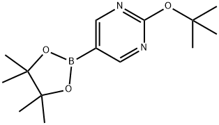 2-tert-butoxy-pyrimidine-5-boronic acid pinacol ester Struktur