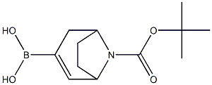 8-Boc-8-aza-bicyclo[3.2.1]oct-2-ene-3-boronic acid Struktur