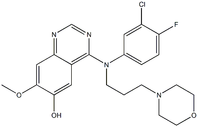 4-((3-chloro-4-fluorophenyl)(3-morpholinopropyl)amino)-7-methoxyquinazolin-6-ol Struktur