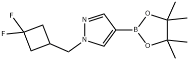 1-[(3,3-difluorocyclobutyl)methyl]-4-(tetramethyl-1,3,2-dioxaborolan-2-yl)-1H-pyrazole Struktur