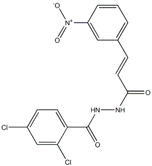 2,4-dichloro-N'-[3-(3-nitrophenyl)acryloyl]benzohydrazide Struktur