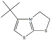 5-tert-butyl-2,3-dihydro[1,3]thiazolo[2,3-b][1,3]thiazol-4-ium Struktur