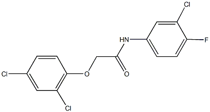 N-(3-chloro-4-fluorophenyl)-2-(2,4-dichlorophenoxy)acetamide Struktur