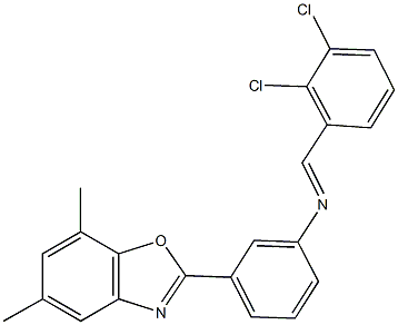 N-(2,3-dichlorobenzylidene)-N-[3-(5,7-dimethyl-1,3-benzoxazol-2-yl)phenyl]amine Struktur