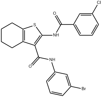 N-(3-bromophenyl)-2-[(3-chlorobenzoyl)amino]-4,5,6,7-tetrahydro-1-benzothiophene-3-carboxamide Struktur