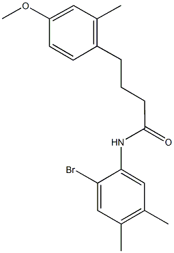 N-(2-bromo-4,5-dimethylphenyl)-4-[2-methyl-4-(methyloxy)phenyl]butanamide Struktur