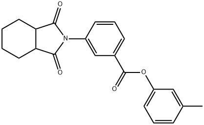 3-methylphenyl 3-(1,3-dioxooctahydro-2H-isoindol-2-yl)benzoate Structure