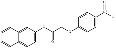 2-naphthyl {4-nitrophenoxy}acetate Struktur