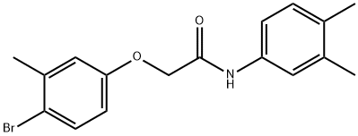 2-(4-bromo-3-methylphenoxy)-N-(3,4-dimethylphenyl)acetamide Struktur