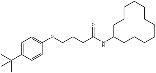 4-(4-tert-butylphenoxy)-N-cyclododecylbutanamide Struktur