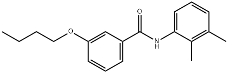 3-butoxy-N-(2,3-dimethylphenyl)benzamide Struktur