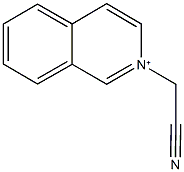 2-(cyanomethyl)isoquinolinium Struktur