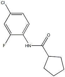 N-(4-chloro-2-fluorophenyl)cyclopentanecarboxamide Struktur