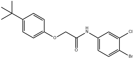 N-(4-bromo-3-chlorophenyl)-2-(4-tert-butylphenoxy)acetamide Struktur