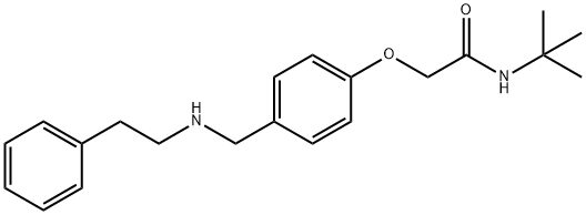 N-(tert-butyl)-2-(4-{[(2-phenylethyl)amino]methyl}phenoxy)acetamide Struktur