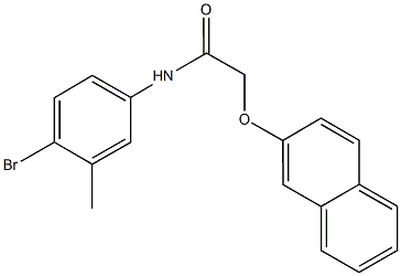 N-(4-bromo-3-methylphenyl)-2-(2-naphthyloxy)acetamide Struktur