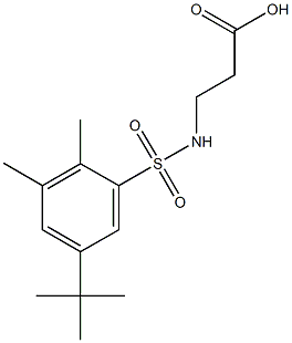 N-[(5-tert-butyl-2,3-dimethylphenyl)sulfonyl]-beta-alanine Struktur