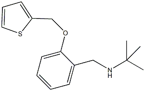 N-(tert-butyl)-N-[2-(2-thienylmethoxy)benzyl]amine Struktur