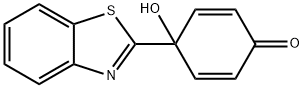 PMX 464 Struktur