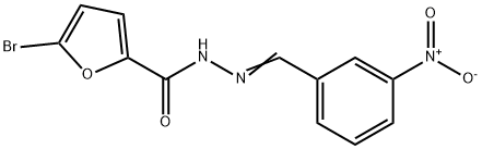 5-bromo-N-[(E)-(3-nitrophenyl)methylideneamino]furan-2-carboxamide Struktur