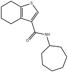 N-cycloheptyl-4,5,6,7-tetrahydro-1-benzothiophene-3-carboxamide Struktur