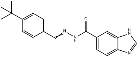 N-[(E)-(4-tert-butylphenyl)methylideneamino]-3H-benzimidazole-5-carboxamide Struktur