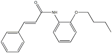 (E)-N-(2-butoxyphenyl)-3-phenylprop-2-enamide Struktur