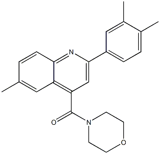 [2-(3,4-dimethylphenyl)-6-methylquinolin-4-yl]-morpholin-4-ylmethanone Struktur