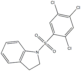 1-(2,4,5-trichlorophenyl)sulfonyl-2,3-dihydroindole Struktur