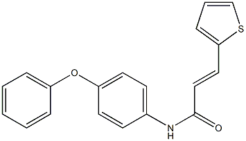 (E)-N-(4-phenoxyphenyl)-3-thiophen-2-ylprop-2-enamide Struktur